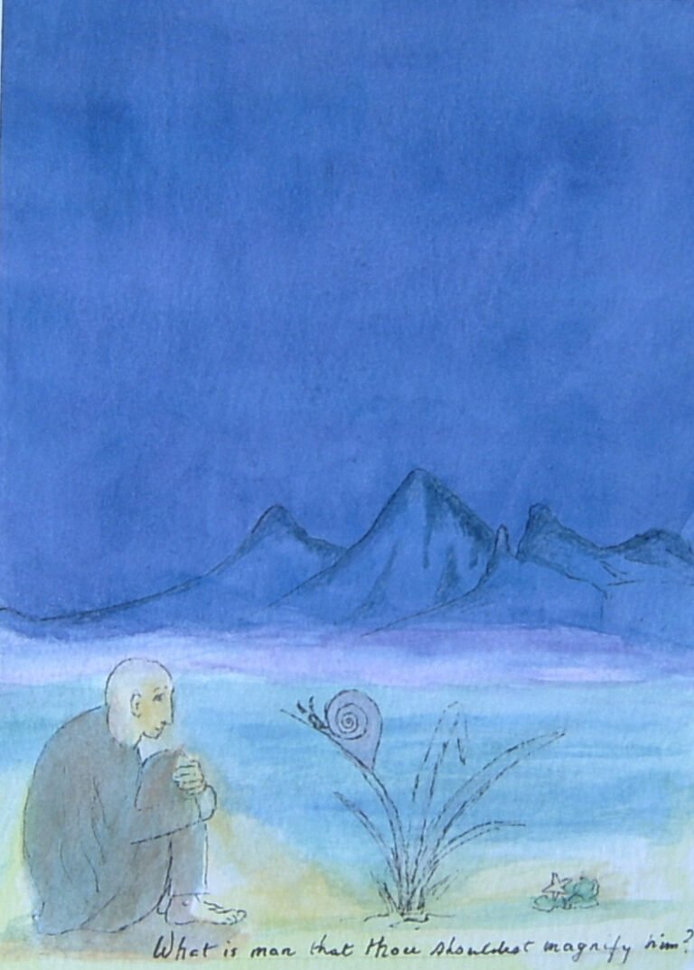 No 12